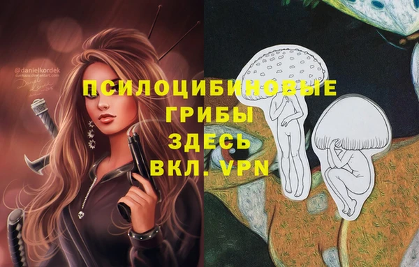 кокаин Ладушкин